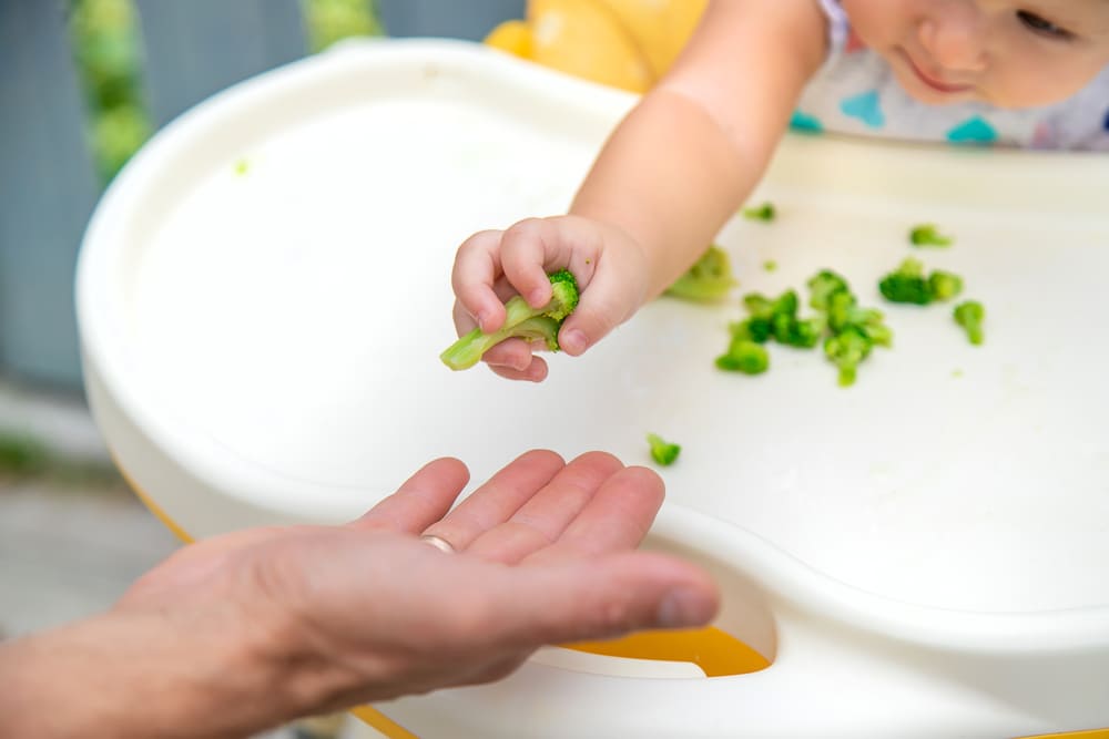 Beneficios de tomar un curso de alimentación complementaria basada en el método BLW